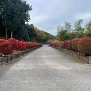 ヒメ日記 2025/11/09 19:54 投稿 愛美 町田 デリヘル 極妻 極上妻