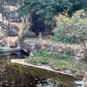 ヒメ日記 2025/12/03 19:45 投稿 愛美 町田 デリヘル 極妻 極上妻