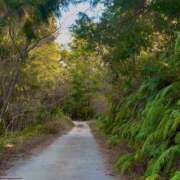 ヒメ日記 2026/01/25 17:41 投稿 愛美 町田 デリヘル 極妻 極上妻