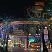 ヒメ日記 2024/12/08 21:52 投稿 まりも 熟女の風俗最終章 池袋店