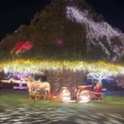 ヒメ日記 2024/12/17 01:12 投稿 まりも 熟女の風俗最終章 池袋店