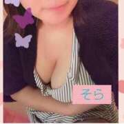 ヒメ日記 2025/02/03 08:44 投稿 空(そら) ビッグバード