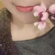 ヒメ日記 2025/04/28 08:24 投稿 空(そら) ビッグバード