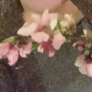 ヒメ日記 2025/05/09 08:14 投稿 空(そら) ビッグバード