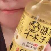 ヒメ日記 2025/06/09 08:36 投稿 空(そら) ビッグバード