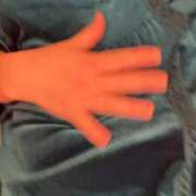 ヒメ日記 2026/01/17 06:54 投稿 空(そら) ビッグバード