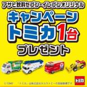 ヒメ日記 2026/03/07 07:37 投稿 空(そら) ビッグバード
