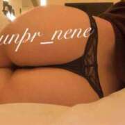 ヒメ日記 2025/04/14 06:00 投稿 ねね 世界のあんぷり亭 柏