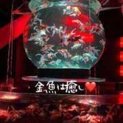 ヒメ日記 2025/05/07 17:34 投稿 秋月ゆきの 成田快楽Ｍ性感倶楽部～前立腺マッサージ専門～