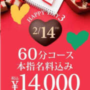 ヒメ日記 2025/02/14 21:00 投稿 奈崎麗美 TSUBAKI（水戸）