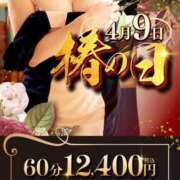 ヒメ日記 2025/04/09 13:00 投稿 奈崎麗美 TSUBAKI（水戸）