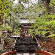 ヒメ日記 2025/04/24 19:00 投稿 奈崎麗美 TSUBAKI（水戸）