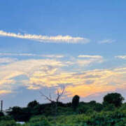 ヒメ日記 2025/10/09 16:46 投稿 奈崎麗美 TSUBAKI（水戸）