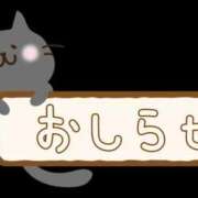 ヒメ日記 2023/12/26 17:42 投稿 堺あき TSUBAKI（水戸）