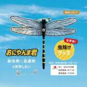 ヒメ日記 2024/05/05 19:27 投稿 堺あき TSUBAKI（水戸）