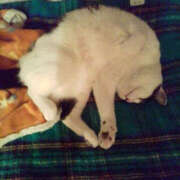 ヒメ日記 2024/12/08 10:12 投稿 堺あき TSUBAKI（水戸）