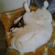 ヒメ日記 2024/12/09 12:45 投稿 堺あき TSUBAKI（水戸）