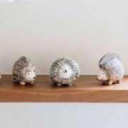 ヒメ日記 2024/12/12 12:40 投稿 堺あき TSUBAKI（水戸）