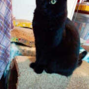 ヒメ日記 2024/12/14 13:19 投稿 堺あき TSUBAKI（水戸）