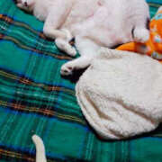 ヒメ日記 2024/12/17 10:13 投稿 堺あき TSUBAKI（水戸）