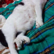 ヒメ日記 2024/12/29 10:14 投稿 堺あき TSUBAKI（水戸）