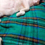 ヒメ日記 2025/01/04 09:27 投稿 堺あき TSUBAKI（水戸）