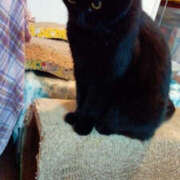 ヒメ日記 2025/01/06 16:28 投稿 堺あき TSUBAKI（水戸）