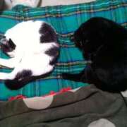 ヒメ日記 2025/01/08 18:13 投稿 堺あき TSUBAKI（水戸）