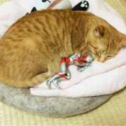 ヒメ日記 2025/01/24 23:12 投稿 堺あき TSUBAKI（水戸）