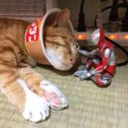 ヒメ日記 2025/01/25 10:50 投稿 堺あき TSUBAKI（水戸）