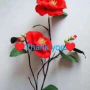 ヒメ日記 2025/01/28 11:00 投稿 堺あき TSUBAKI（水戸）