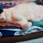 ヒメ日記 2025/01/30 17:31 投稿 堺あき TSUBAKI（水戸）