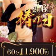 ヒメ日記 2025/02/06 09:49 投稿 堺あき TSUBAKI（水戸）