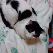 ヒメ日記 2025/02/12 18:13 投稿 堺あき TSUBAKI（水戸）