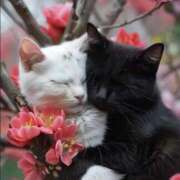 ヒメ日記 2025/03/20 10:17 投稿 堺あき TSUBAKI（水戸）