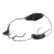 ヒメ日記 2025/03/27 11:45 投稿 堺あき TSUBAKI（水戸）