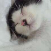 ヒメ日記 2025/04/05 10:00 投稿 堺あき TSUBAKI（水戸）