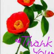 ヒメ日記 2025/04/11 14:14 投稿 堺あき TSUBAKI（水戸）