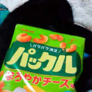 ヒメ日記 2025/04/12 18:35 投稿 堺あき TSUBAKI（水戸）