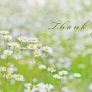 ヒメ日記 2025/04/14 18:15 投稿 堺あき TSUBAKI（水戸）