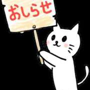 ヒメ日記 2025/04/14 20:40 投稿 堺あき TSUBAKI（水戸）