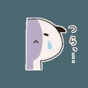 ヒメ日記 2025/04/16 16:30 投稿 堺あき TSUBAKI（水戸）