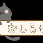 ヒメ日記 2025/04/29 14:34 投稿 堺あき TSUBAKI（水戸）