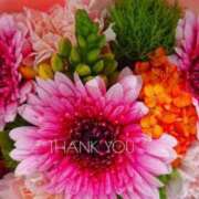 ヒメ日記 2025/05/02 17:11 投稿 堺あき TSUBAKI（水戸）