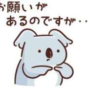 ヒメ日記 2025/05/02 22:46 投稿 堺あき TSUBAKI（水戸）