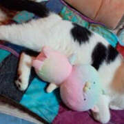 ヒメ日記 2025/05/27 18:29 投稿 堺あき TSUBAKI（水戸）