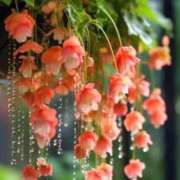 ヒメ日記 2025/05/28 11:55 投稿 堺あき TSUBAKI（水戸）