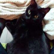 ヒメ日記 2025/06/05 17:16 投稿 堺あき TSUBAKI（水戸）