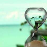 ヒメ日記 2025/06/12 23:03 投稿 堺あき TSUBAKI（水戸）