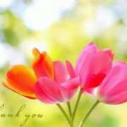 ヒメ日記 2025/06/14 16:45 投稿 堺あき TSUBAKI（水戸）